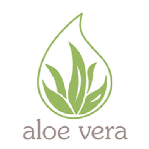 Pillow Memory Aloe Classic 60x40x11 DIOMMI 44-288