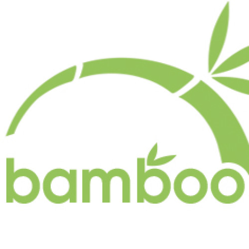 Pillow Bambo Mix 50x70 DIOMMI 44-293