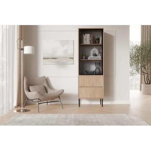 DOMI standing cabinet 60 ( 2S ) cremona