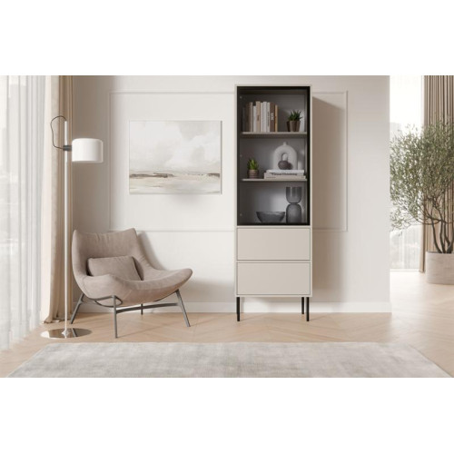 DOMI standing cabinet 60 ( 2S ) cashmere