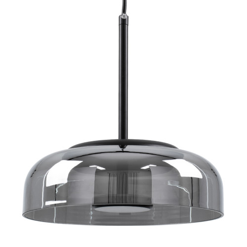 CHARLOTTE 00743 Modern Pendant Ceiling Light Single Light Tinted Glass Black Metal CREE LED 5W 500lm 180° 