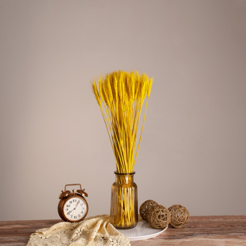  BARLEY 36552 Dried Barley Plant - Bouquet of Decorative Branches Beige - Yellow H60cm