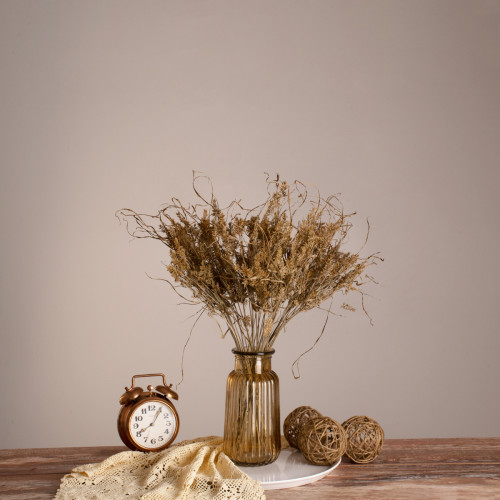  FERNGRASS 36556 Dried Fern Grass - Bouquet of Decorative Branches Beige H60cm