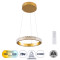  DIAMOND 61127 Pendant Light Ring-Circle LED CCT 20W 2356lm 360° AC 220-240V - Switching Lighting via Remote Control All In One