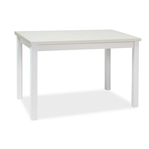ADAM TABLE WHITE MAT 100x60 DIOMMI ADAMBM100